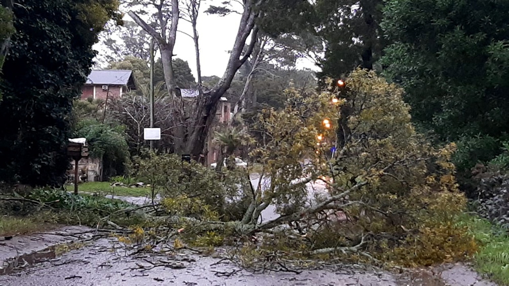 El temporal se sintió en Pinamar, Cariló, Ostende, Valeria del Mar, Villa Gesell, Mar de las Pampas y Mar Azul.