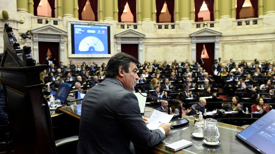 El proyecto reuni 132 votos a favor provenientes de la mayora del arco opositor 104 negativos del Frente de Todos y otros aliados cuatro abstenciones de la Izquierda y 15 ausencias