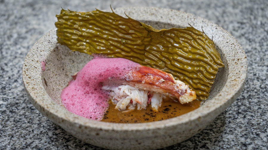 Centolla del Fuego gazpacho de zanahorias ajo negro cachiyuyo une especie de alga y cassis maridado Feedback PR