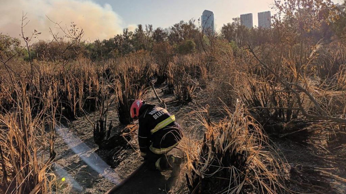 Se desconoce hasta el momento el motivo cmo se origin el fuego Foto Prensa