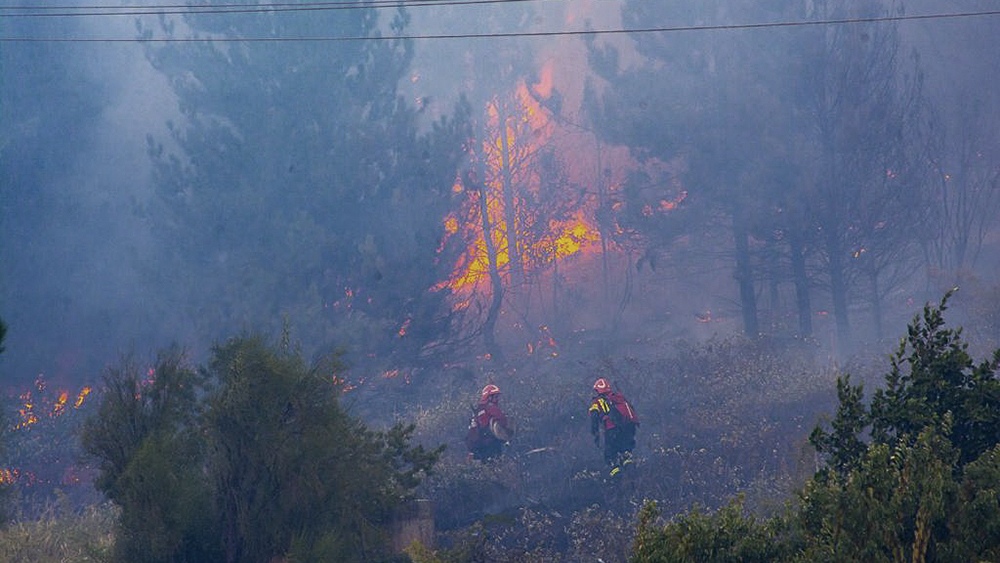 Foto prensa